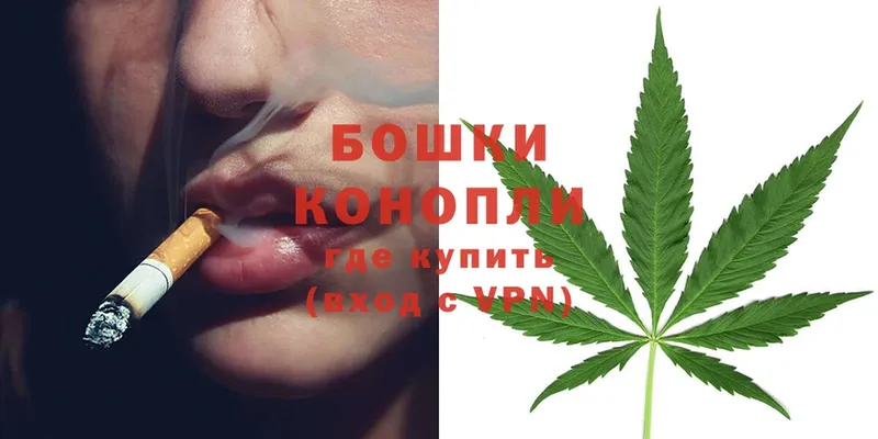 Бошки марихуана THC 21%  Медынь 